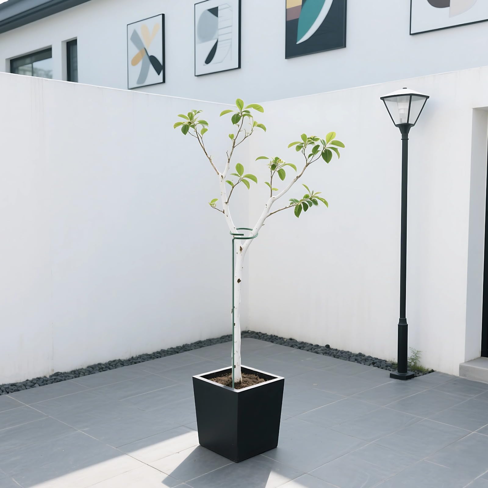 Générique Lot de 8 Tuteurs de Support pour Plantes, poteaux métalliques réglables pour Plantes d'intérieur et d'extérieur, Support Floral Vert Demi-Rond pour orchidées, Roses et Plantes grimpantes