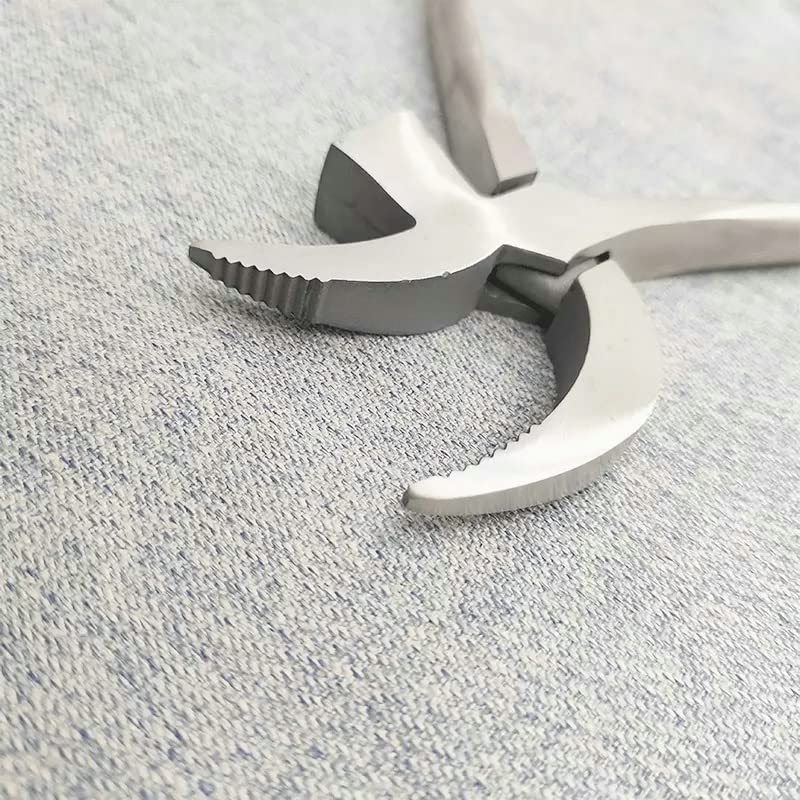 Pince à Chaussures En Acier Inoxydable, 12 Pièces, Outils D'artisanat