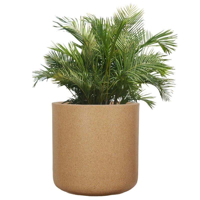 See full amazon price history chart for Amazon Brand - Umi Indoor & Outdoor Plastic Marble Look Malta Pot | Flower Pot | Plant Container for Home/Office/Garden Dcor - (Color : Sand/Stone, Size : 15 Inches) - Set of 1 Amazon Brand - Umi Indoor & Outdoor Plastic Marble Look Malta Pot | Flower Pot | Plant Container for Home/Office/Garden Dcor - (Color : Sand/Stone, Size : 15 Inches) - Set of 1 (B0CY6FLTFM) Amazon Price History, Amazon Price Tracker