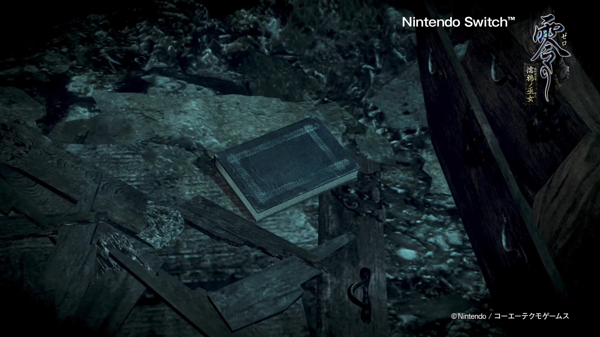 Amazon.co.jp: 【Switch】零 ~濡鴉ノ巫女~ (早期購入特典(夕莉限定衣装