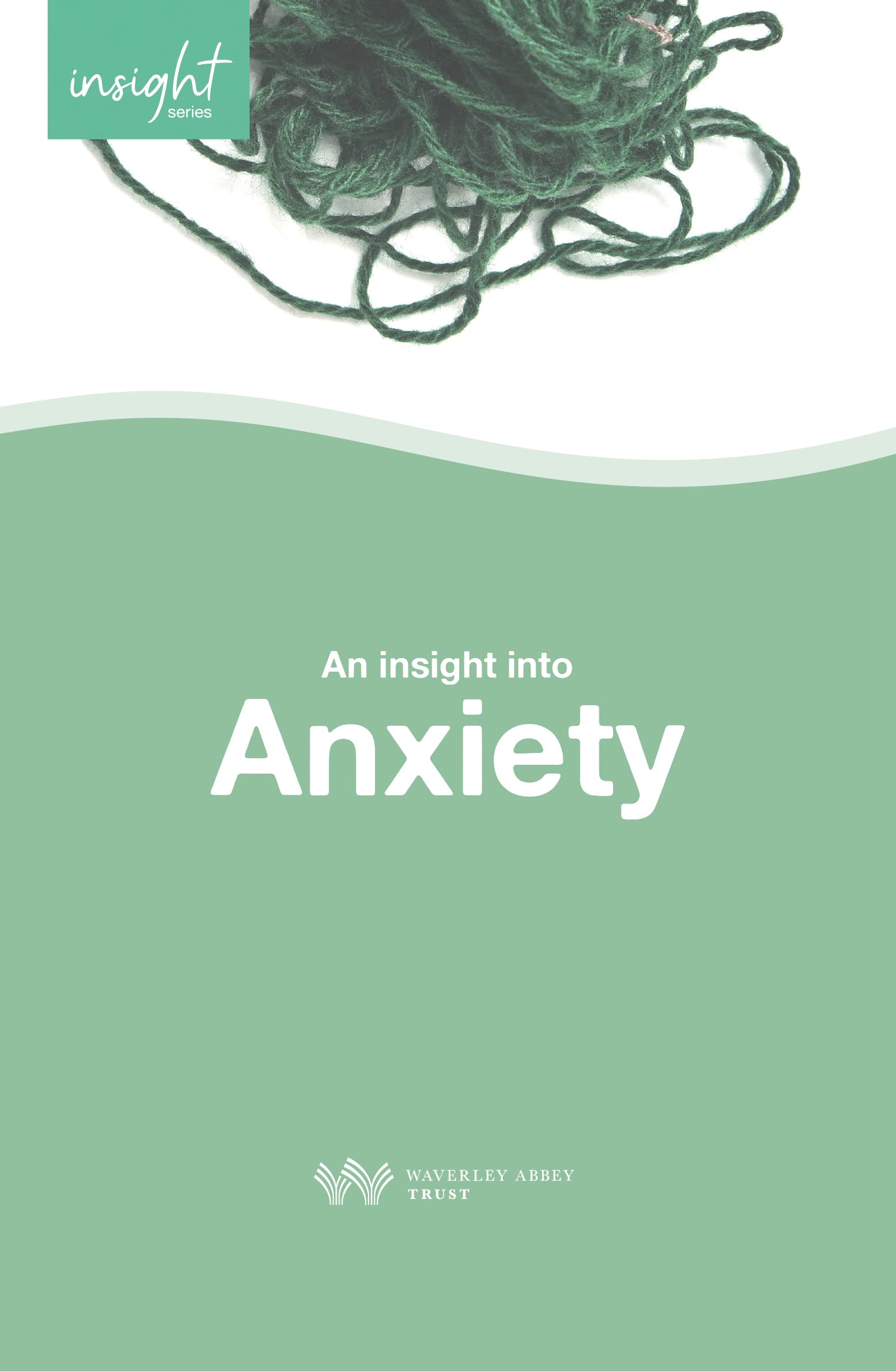 Insight into Anxiety by Chris Ledger (Paperback Book)