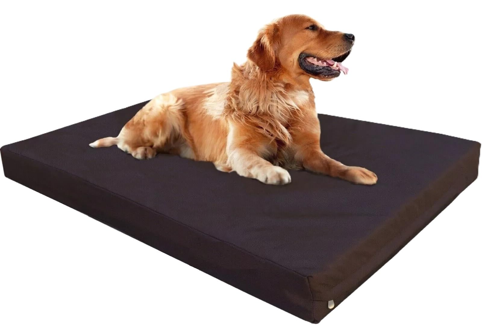 FOAMSUPA Heavy Duty Pet Dog Bed Mattress Mat Cushion with Tough Waterproof cover (Brown, XX Large 120cm x 75cm x 5cm – 48″ x 30″ x 2″)