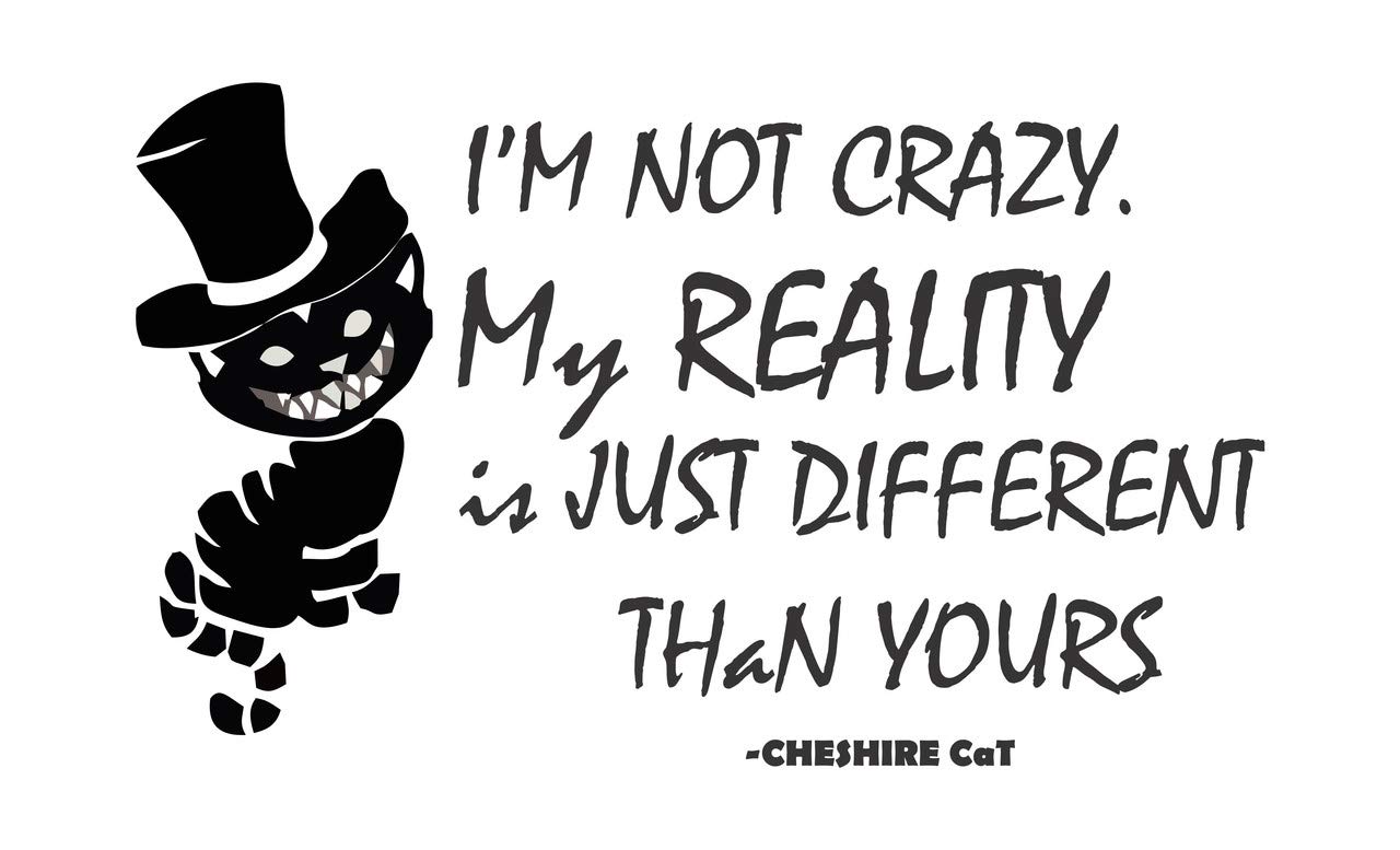 Sahaj Decor Crazy Pussy Cat Sticker | Wall Sticker for Living Room -Bedroom - Office - Home Hall Decorative Stickers (B08639SMFZ) Amazon Price History, Amazon Price Tracker