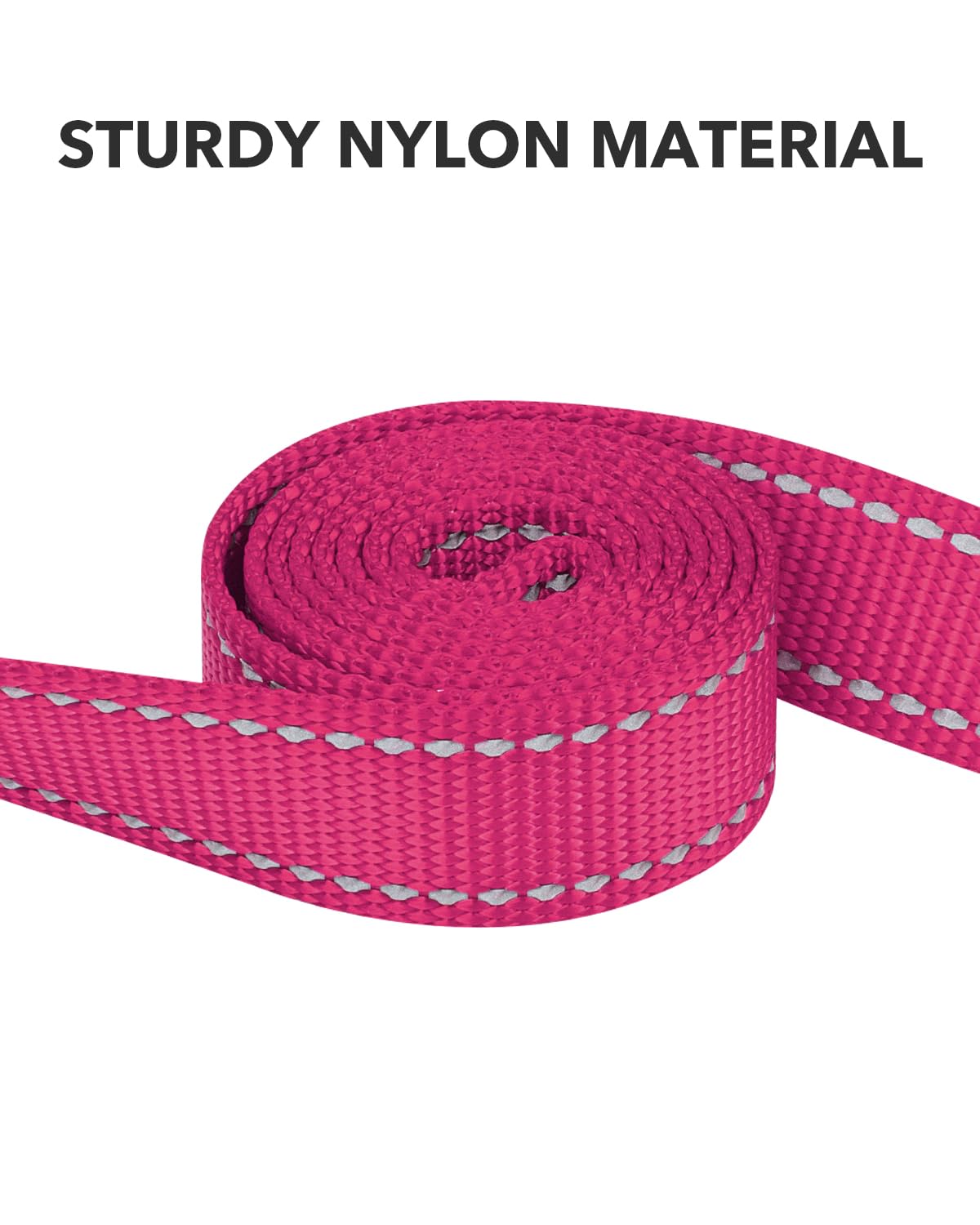 Taglory Guinzaglio per Cani Riflettente con Manico Imbottito e Gancio in Metallo, Nylon Resistente Addestramento Cane Guinzaglio, 1.2 m x 2.0 cm, Rosa Caldo