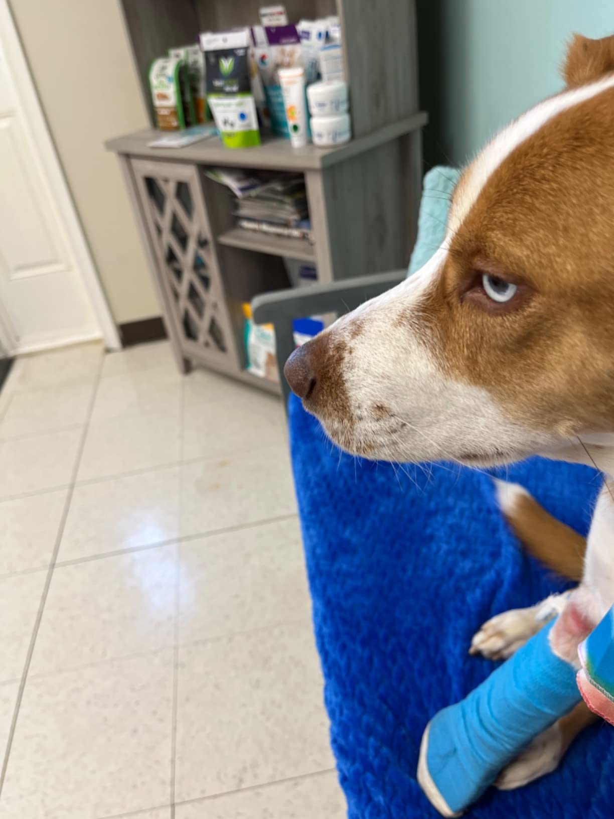 2/mo Finance HEALQU Self Adhesive Bandage Wrap 12 Rolls 2in x 5yd