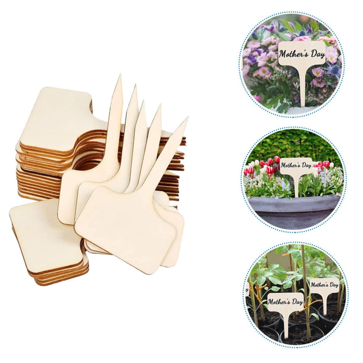 ibasenice 5 Ensembles Étiquettes De Plantes Naturel De Marqueurs Pour Identification Fleurs Pour Pépinières 20 Pièces * 5