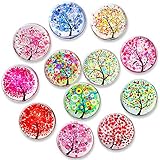 【Weit verbreitet】Kühlschrank magnete auf jeder Metall- oder Magnetoberfläche an ,z. Whiteboard, Schlafsaal, Karten, Kühlschränke, Klimaanlagen, Schließfächer, Waschmaschinen, magnetisches Trockenlöschbrett, Bürodateien aus Eisen usw., und schneiden Sie Fotos mit kleinem Spaß ab Dekoration.