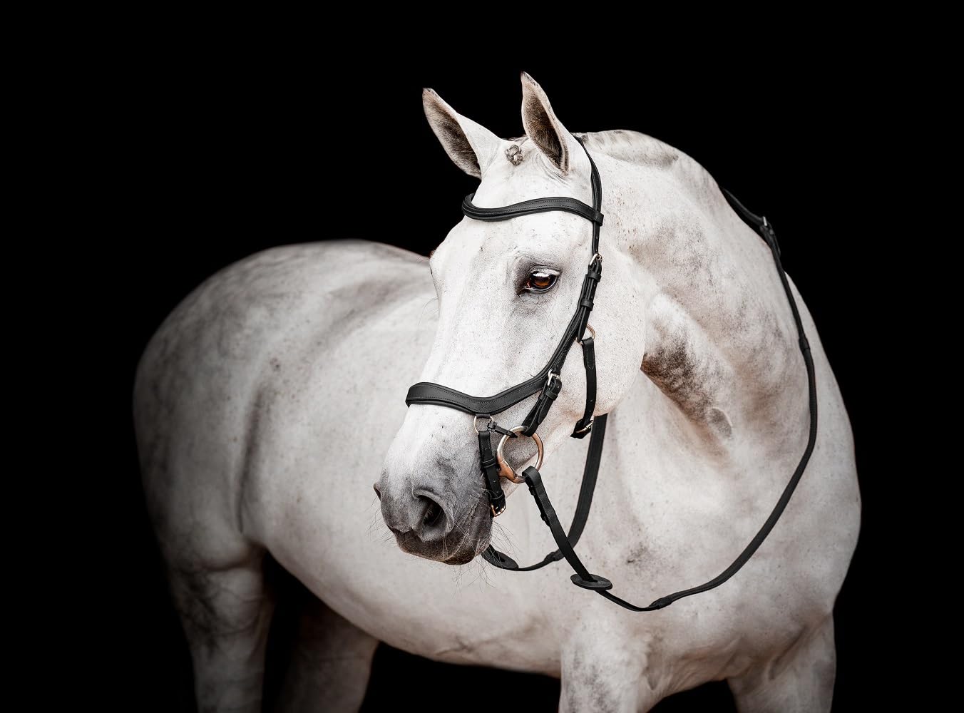 Horseware Micklem 2 - Briglia da competizione, colore: nero
