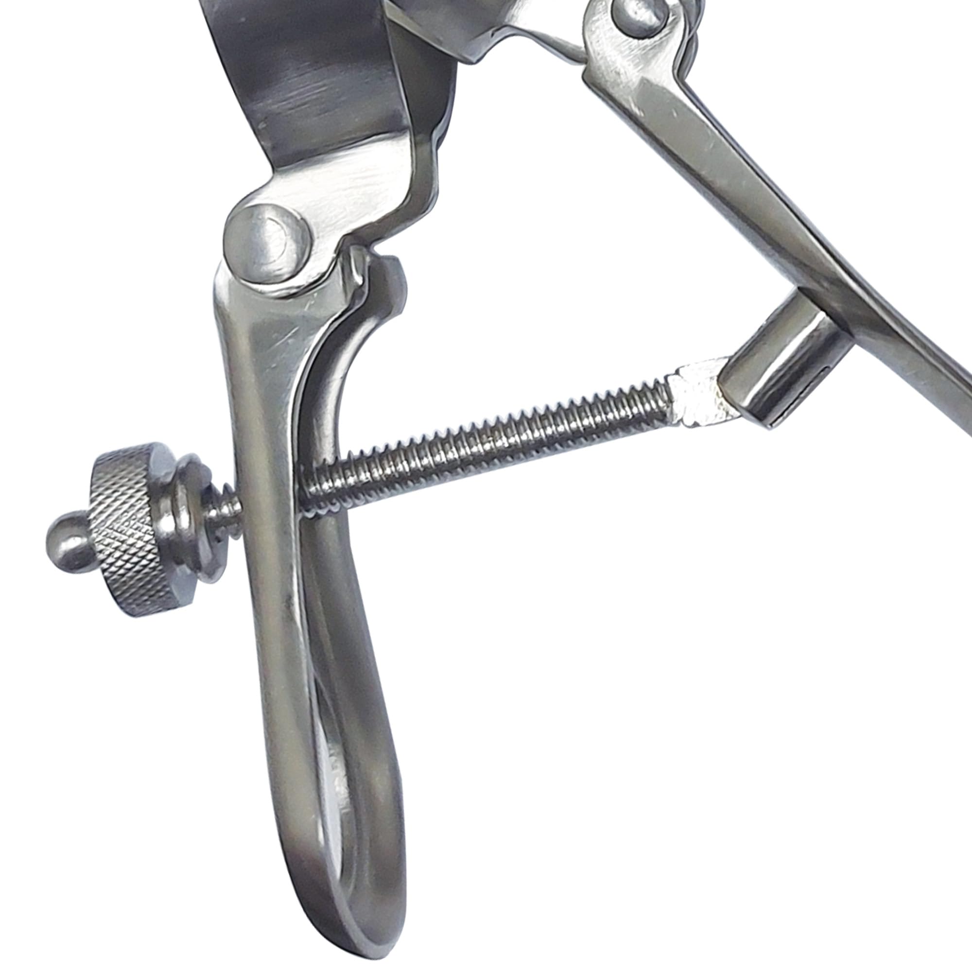 Gima 29771 Cusco Speculum inoxydable, Medium, 1 PC