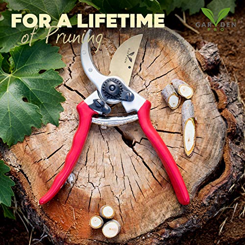 image for Professional Titanium Pruning Shears By Garden V Pro - Top Bypass Clip
