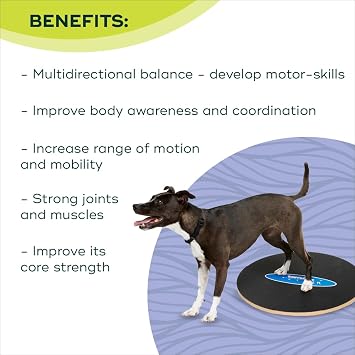 FitPaws Wobble Board - Dog Balance Training Equipment for Core Strength & Stability Canine Fitness & Rehabilitation Tool 20