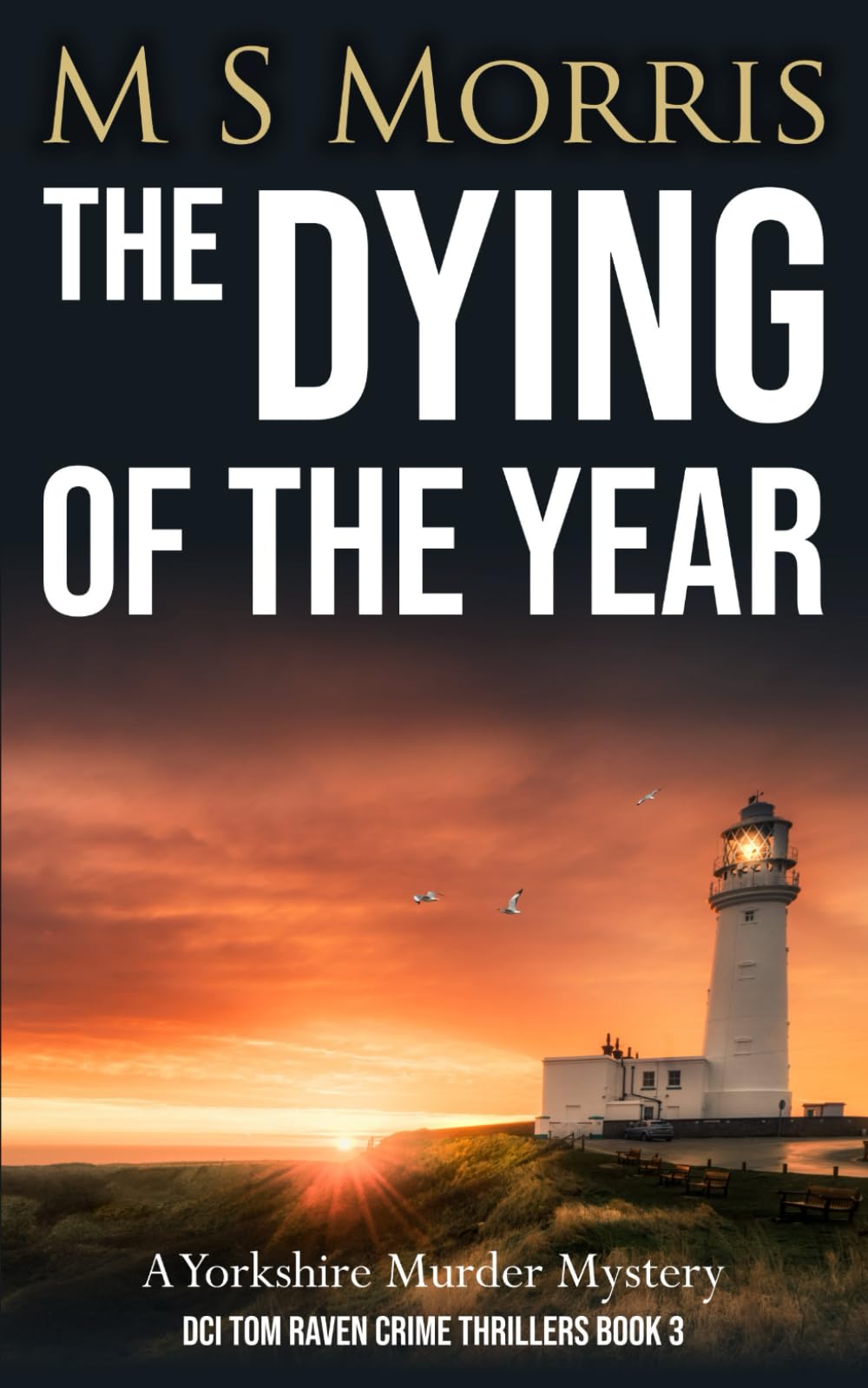 The Dying of the Year: A Yorkshire Murder Mystery: 3 (DCI Tom Raven Crime Thrillers)