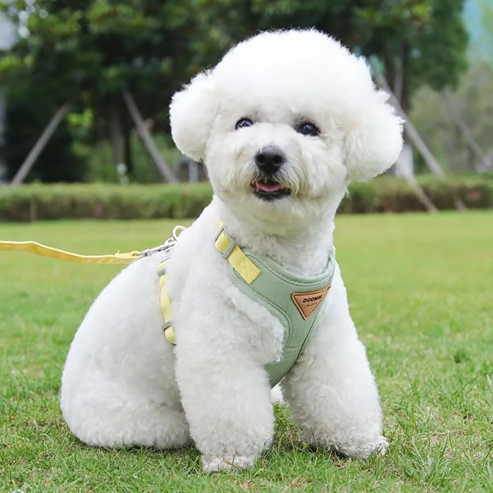 Harnais De Marche Léger for Animaux De Compagnie | Tissu respirant, conception sans traction, adapté aux variétés de petite et moyenne taille(Yellow,Large)