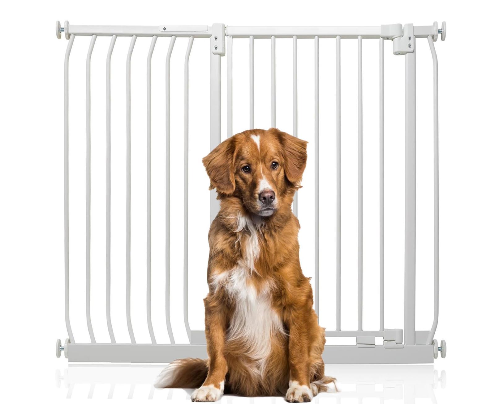 Bettacare - Pet Gate - Extra Tall - 116cm-125cm - White - Pressure Fit