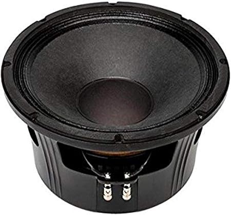 P audio 12 inch speaker Clearance