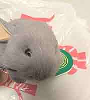 上野動物園 チンチラ ぬいぐるみ Amazon.co.jp: 上野動物園 チンチラ ぬいぐるみ : おもちゃ