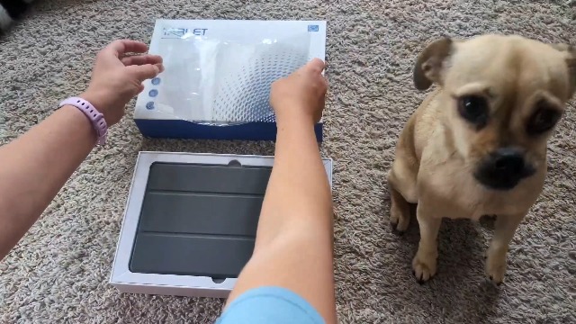 Amazon.co.jp: Tablet 10 Inch Android 15 Tabwee T20 Bullet PC Wi-Fi