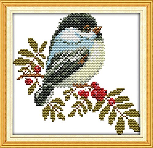 Maydear Cross Stitch Kits Stamped Full Range of Embroidery Starter Kits for Beginners DIY 11CT 3 Strands - Little Bird 9×9(inch)