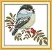 Full Range of Embroidery Starter Kits Stamped Cross Stitch Kits Beginners for DIY Embroidery with 40 Pattern Designs - Little Bird