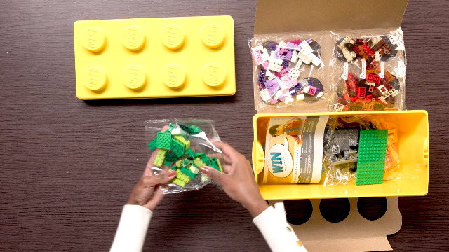 LEGO® Classic - Caixa Média de Peças Criativas | Amazon.com.br