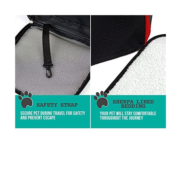 Red Dog Carrier Backpack for Outdoor Use