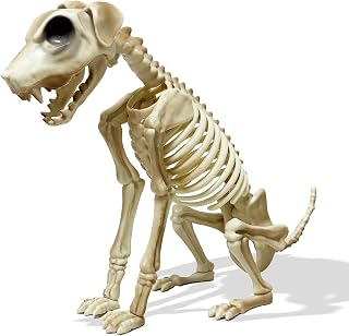 Skeleton Dog Halloween, 15.5” Skeleton Animals Crazy Bones for Indoor and Outdoor,Spooky Haunted House Decoration Holiday Party Decoration
