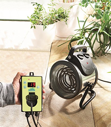 Preisvergleich Produktbild Gewächshausheizung ""Palma 2 kW"", digital