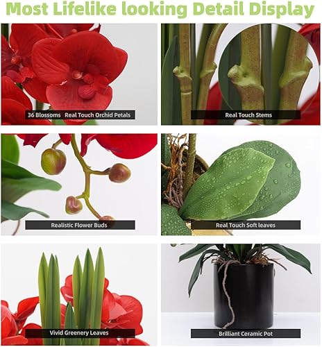 Vista 150 de CXGS Plantas artificiales de orquídeas artificiales de tacto real, orquídeas falsas en jarrón de cerámica de 20.9 pulgadas, orquídea falaenopsis