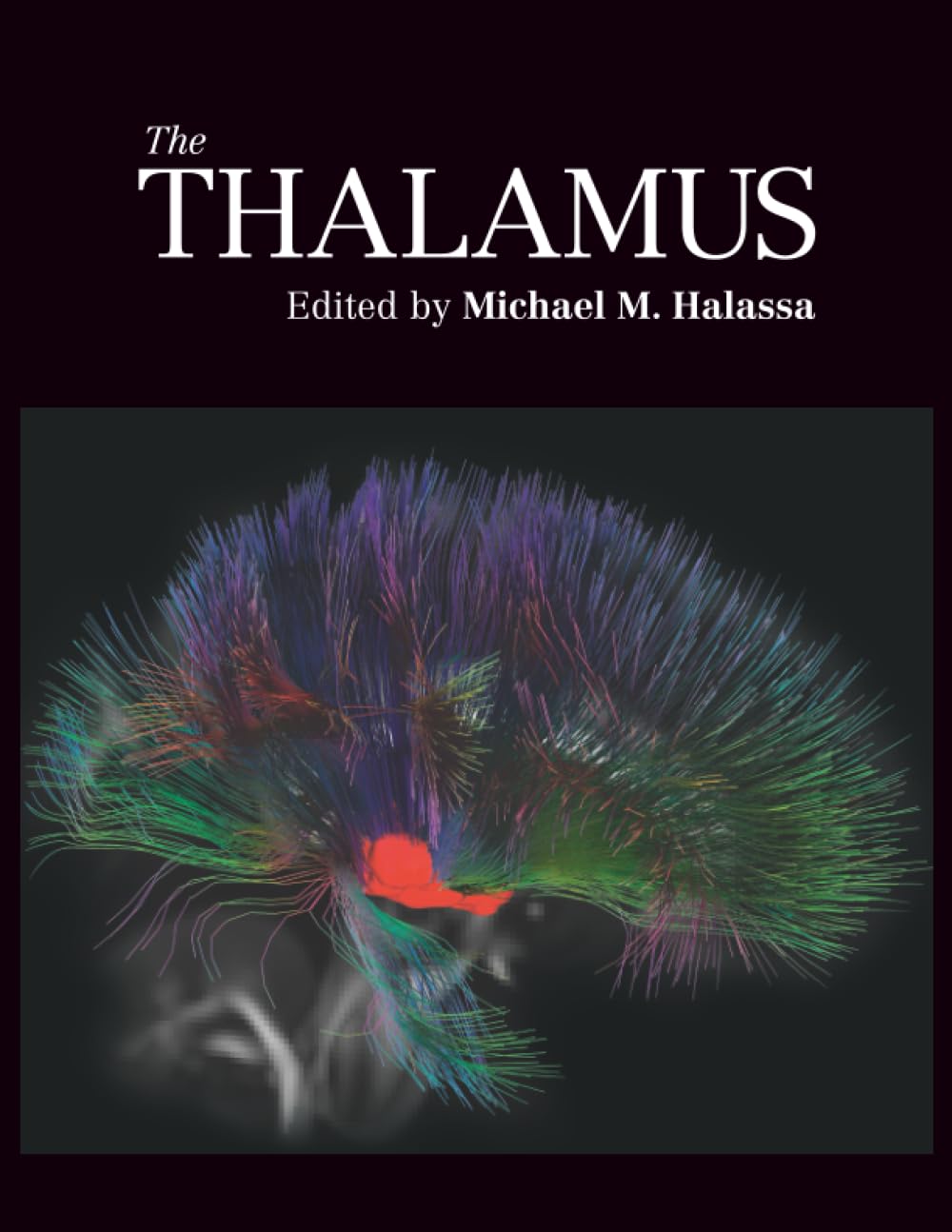 The Thalamus