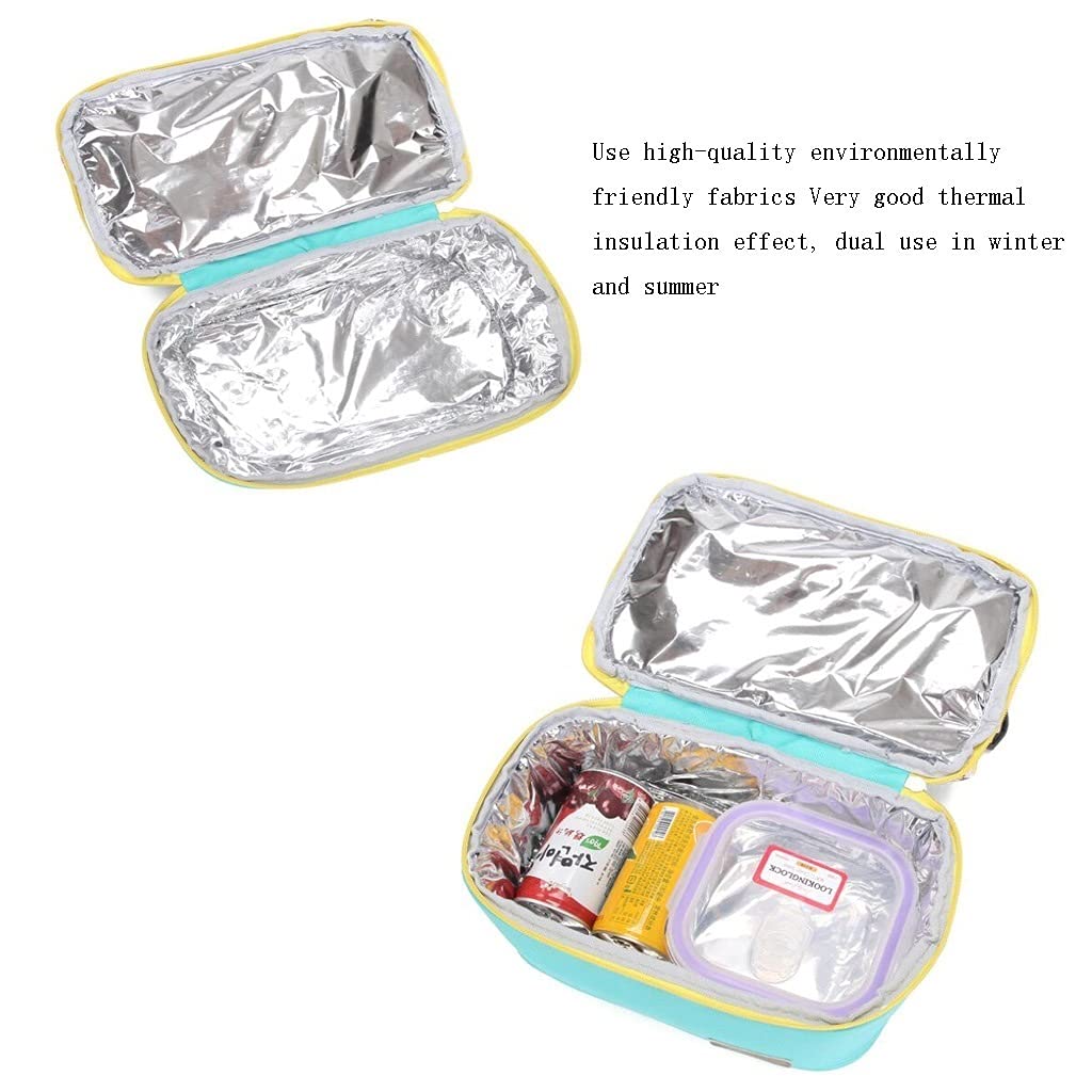 borsa da picnic Auto Picnic Bag Double-Loay Isolamento termico Isolante Picnic Zaino Portatile Pranzo Borsa Adatto all'aperto Camping Office Office Escursioni Cesto portaoggetti da esterno per famigli