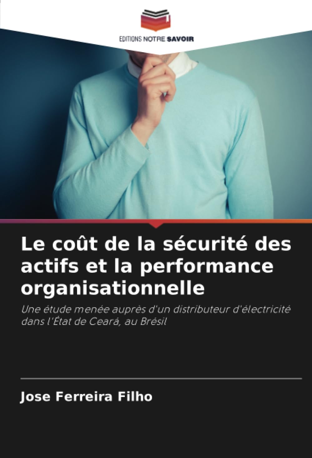 Le coût de la sécurité des actifs et la performance organisationnelle: Une étude menée auprès d'un distributeur d'électricité dans l'État de Ceará, au Brésil