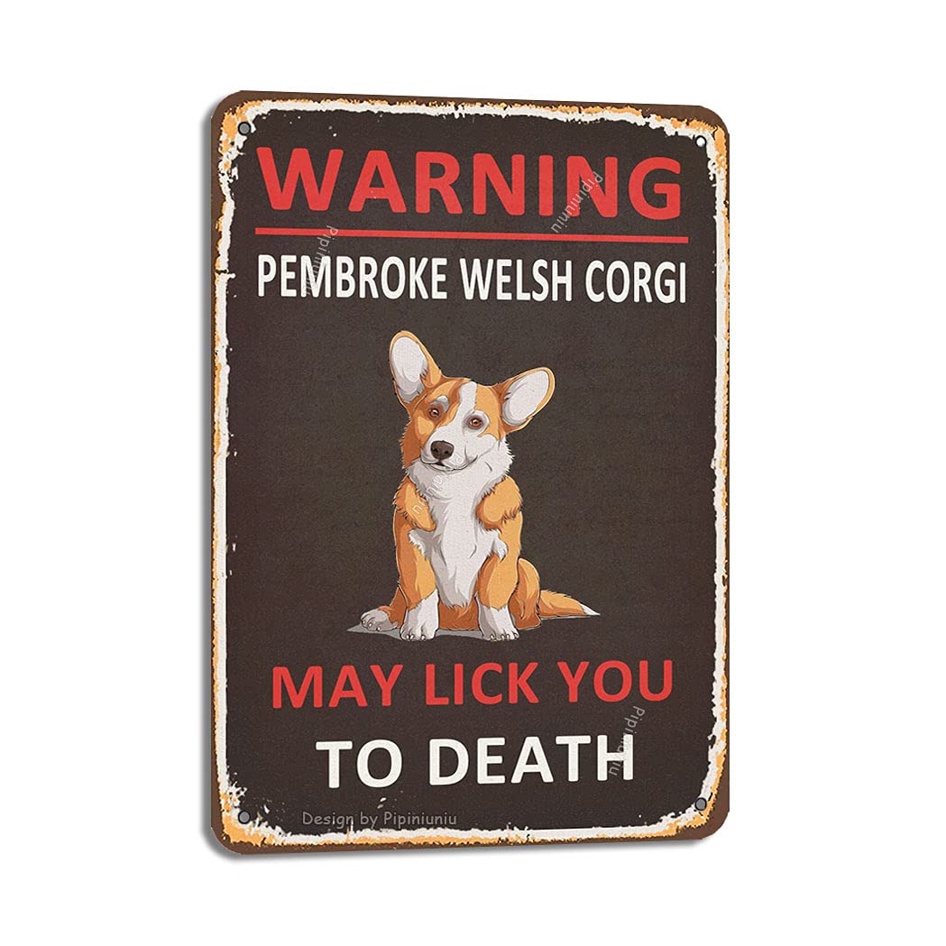 Can A Dog Safely Lick Metal