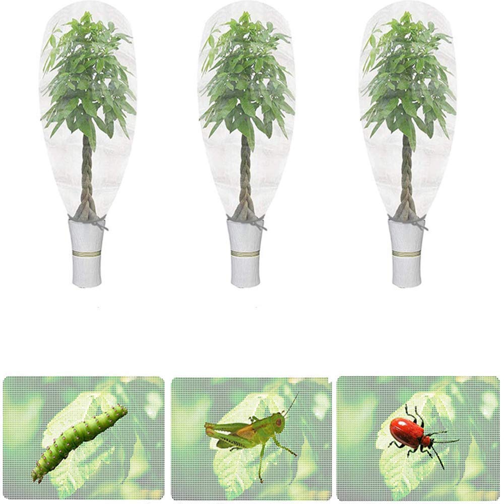 6Pz rete per insetti e uccelli con cavo per proteggere piante, fiori e
