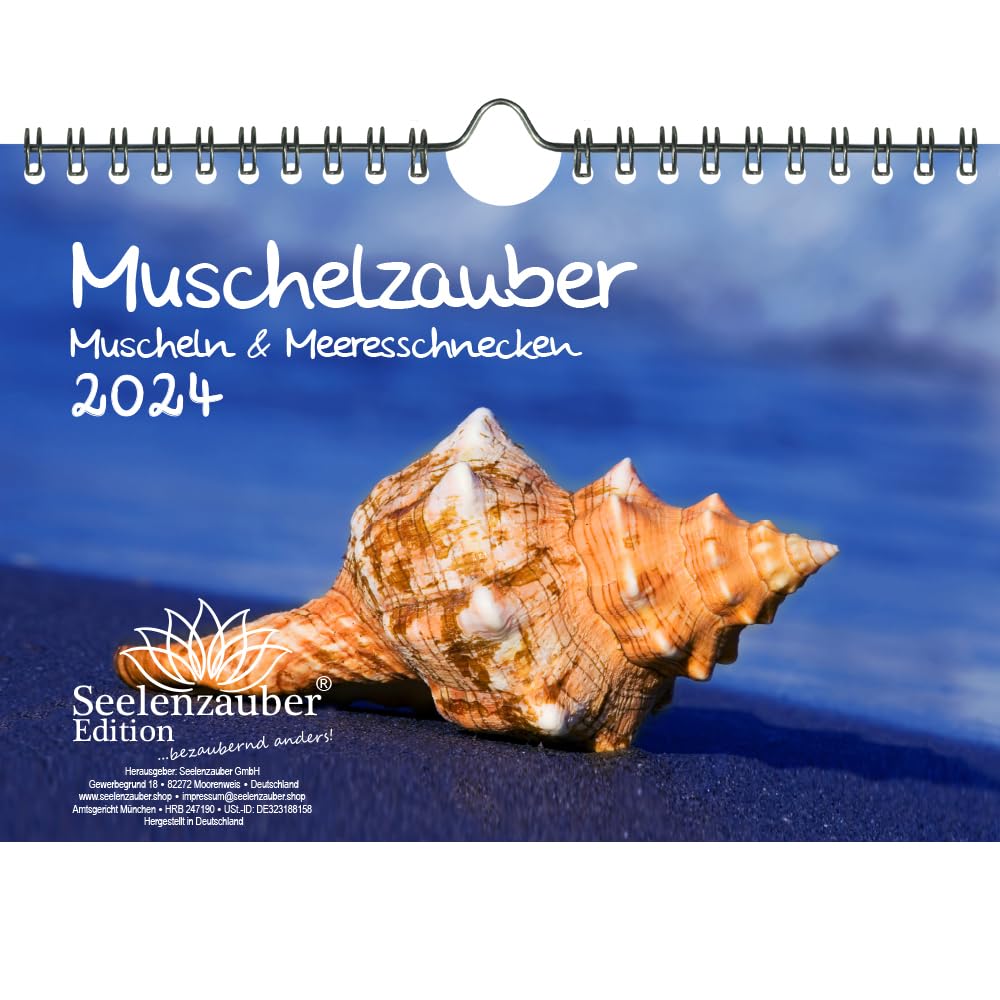 Muschelzauber DIN A5 Wall Calendar for 2024 Shells and Sea Seelenzauber