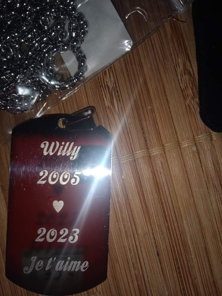 MeMeDIY Collier Dog Tag Personnalisé Avec Gravure Photo Et Texte - Acier Inoxydable Cadeau Homme Femme
