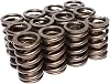COMP Cams 98012 Vavle Spring