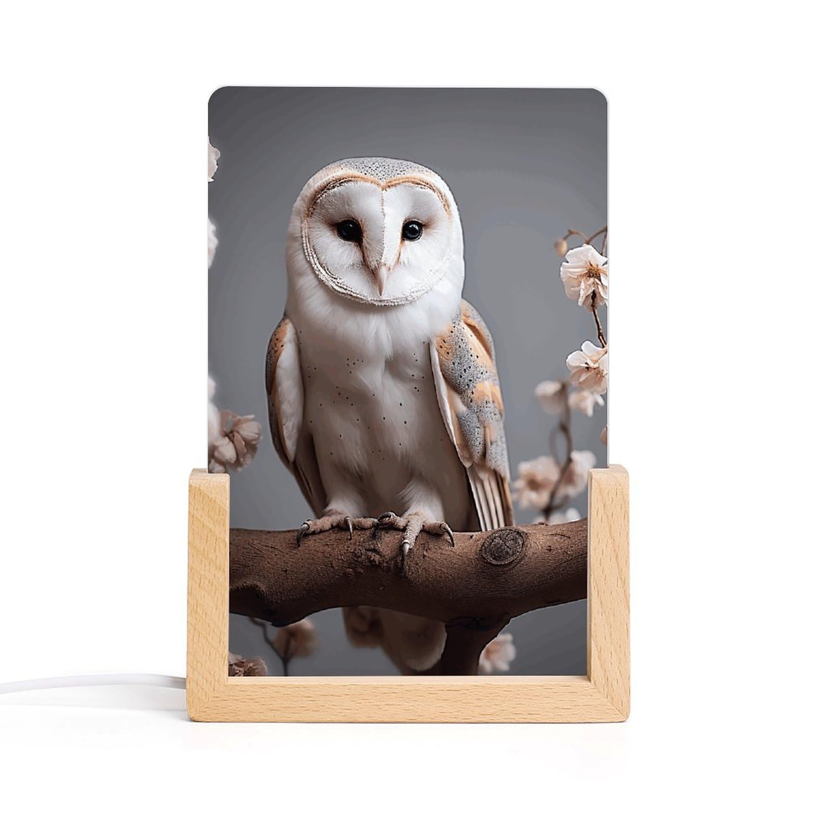 JTREHY Acrylic Night Light,A Small White Barn Owl Printed Wooden Base LED Night Light Modern Home Decoration Light with USB Switch Cable for Bar Cafe Bedroom Room Decoration