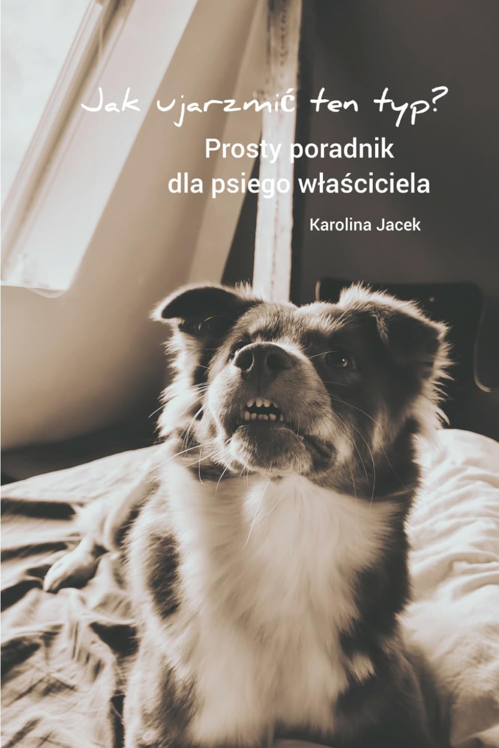 Jak ujarzmić ten typ? Prosty poradnik dla psiego właściciela