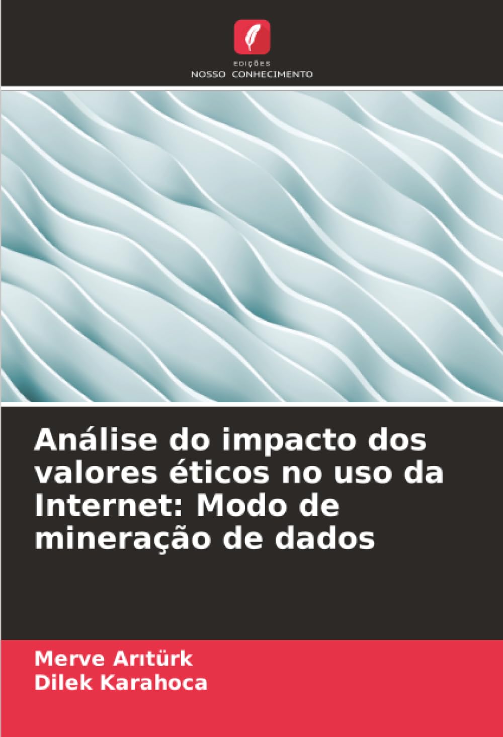 Análise do impacto dos valores éticos no uso da Internet: Modo de mineração de dados