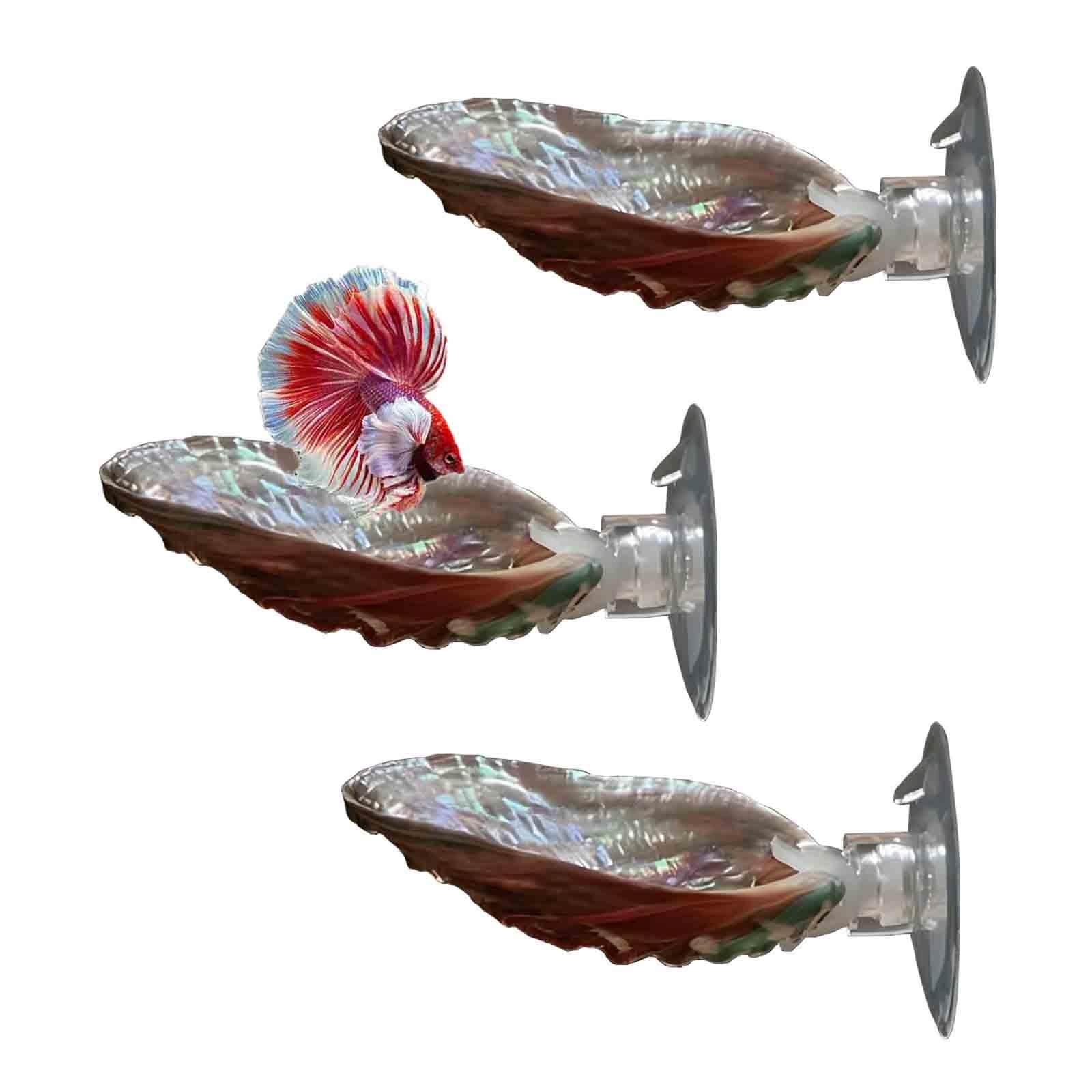 HAJHI Natural Scallops Betta Fish Tank Decor Suction Cups Betta Hammock Comfortable Resting Area Betta Bed for Sleeping Hiding Playing(Abalone shells - 3 pcs)