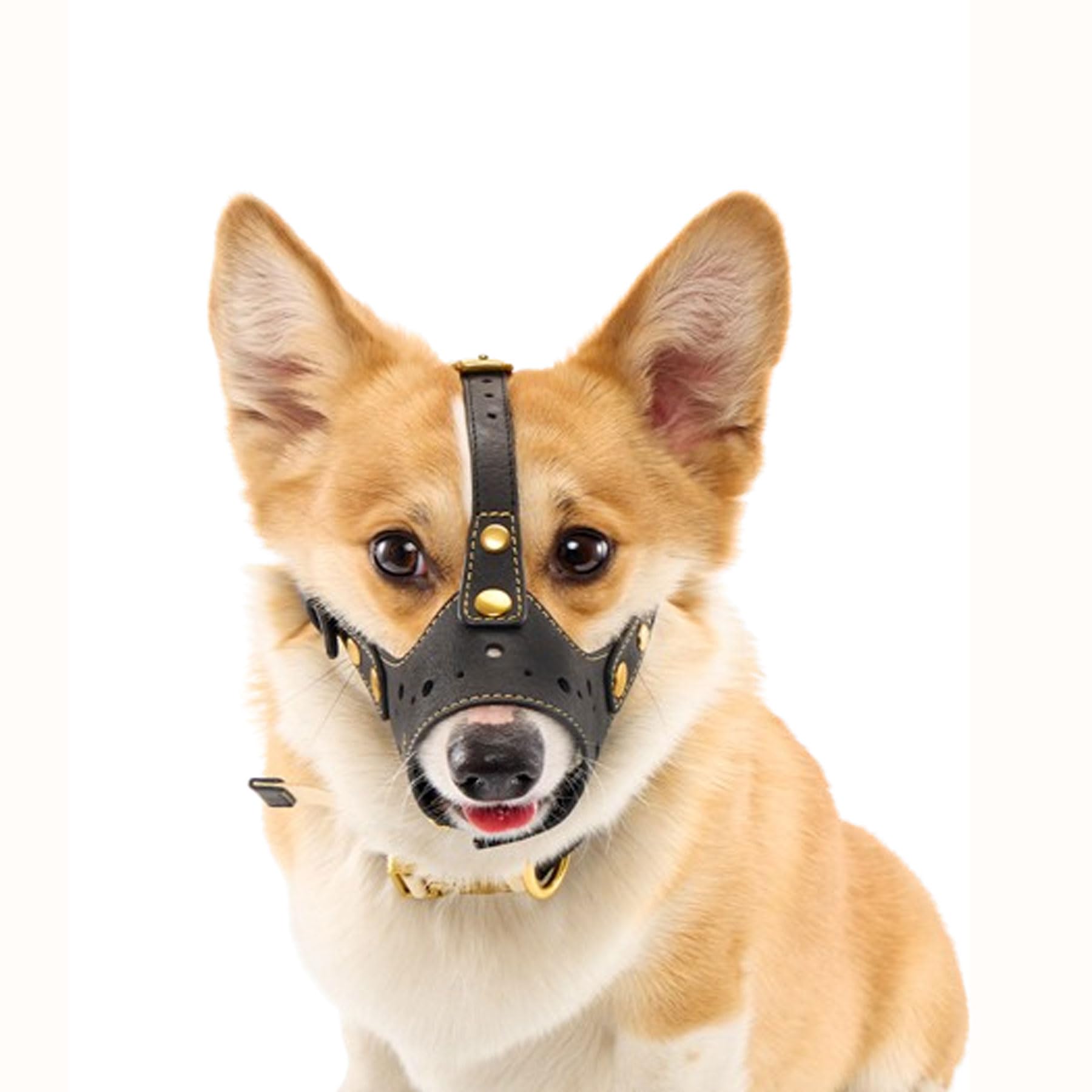 Bozal para Perro,diseño cómodo de Ajuste de Cuero,Cubierta bucal Ajustable para Perros pequeños y medianos,Evita morder,ladrar y Masticar (S,M,L)