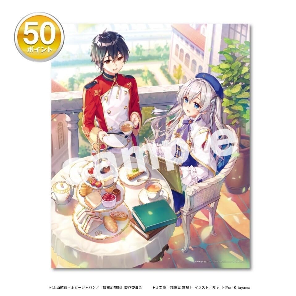 精霊幻想記 キャンバスアート Amazon.co.jp: 精霊幻想記 Riv先生描き下ろし キャンバスアート