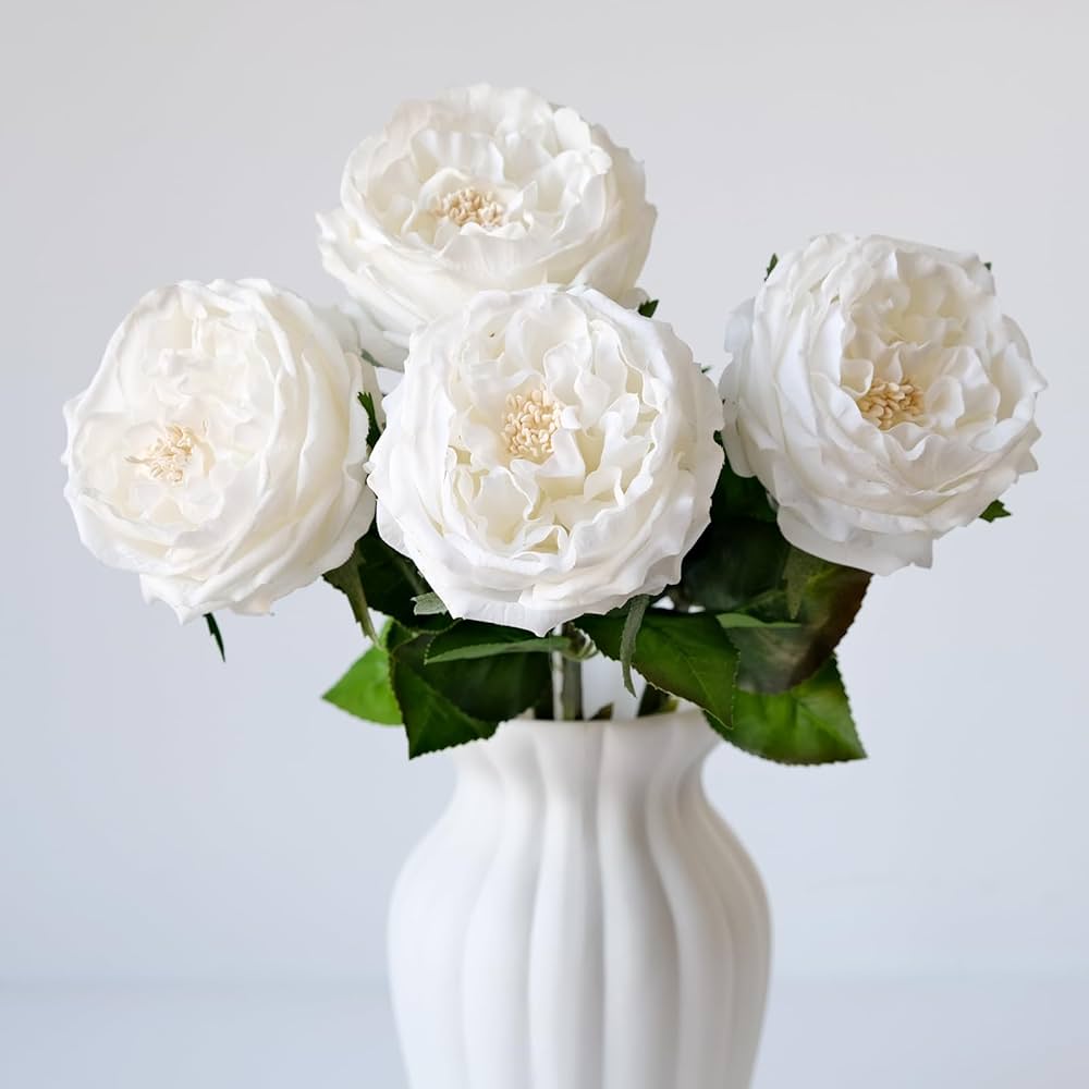 【新品未開封】ROSE BUD standingMICKEYMOUSEsweat Amazon.com: YalzoneMet 3.5'' Big Bloom White Rose Artificial