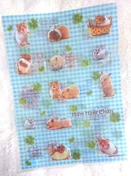 61xceJFvjuL._AC_UF350,