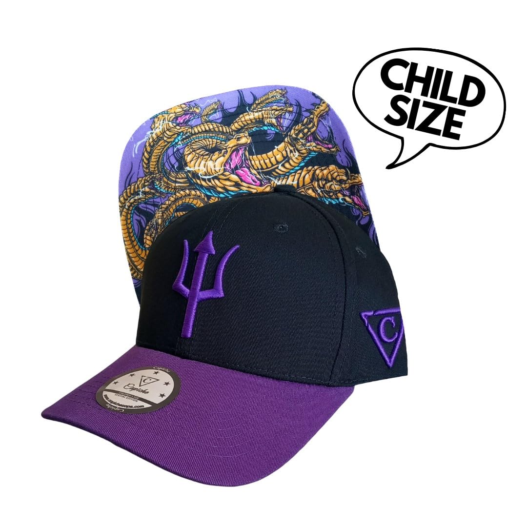 Capiche [99+ Variations] Casquette Snapback Nouvelle Collection Special Series - 4