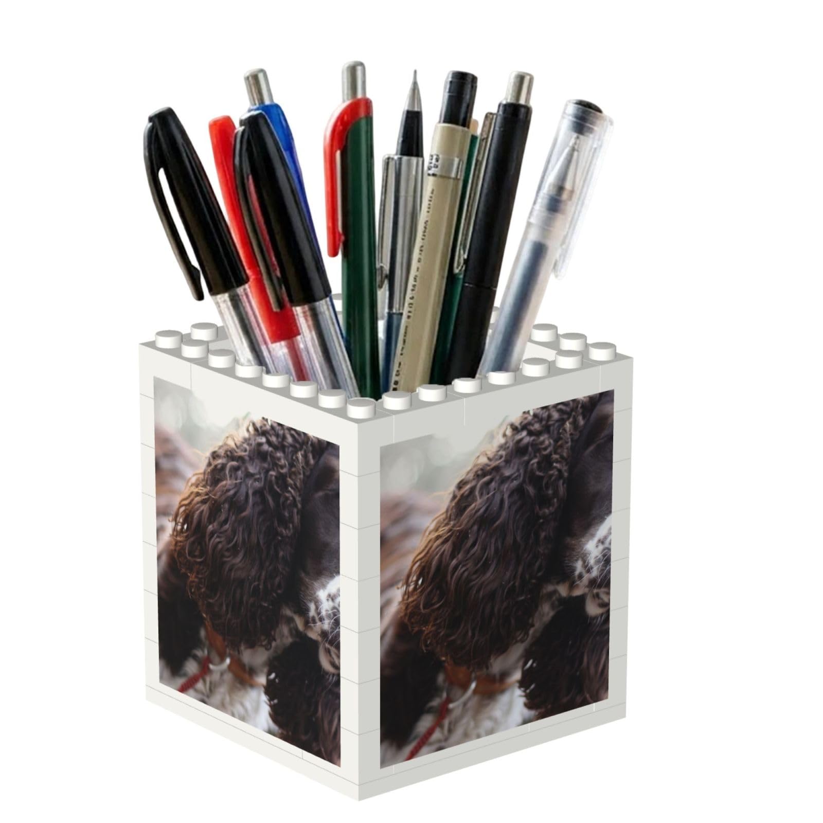 Poadnly English Cocker Spaniel Brownish White Curly Dogs, Pen Pot Pencil Holder for Office Home School, Compact Desk Organiser for Office Stationery