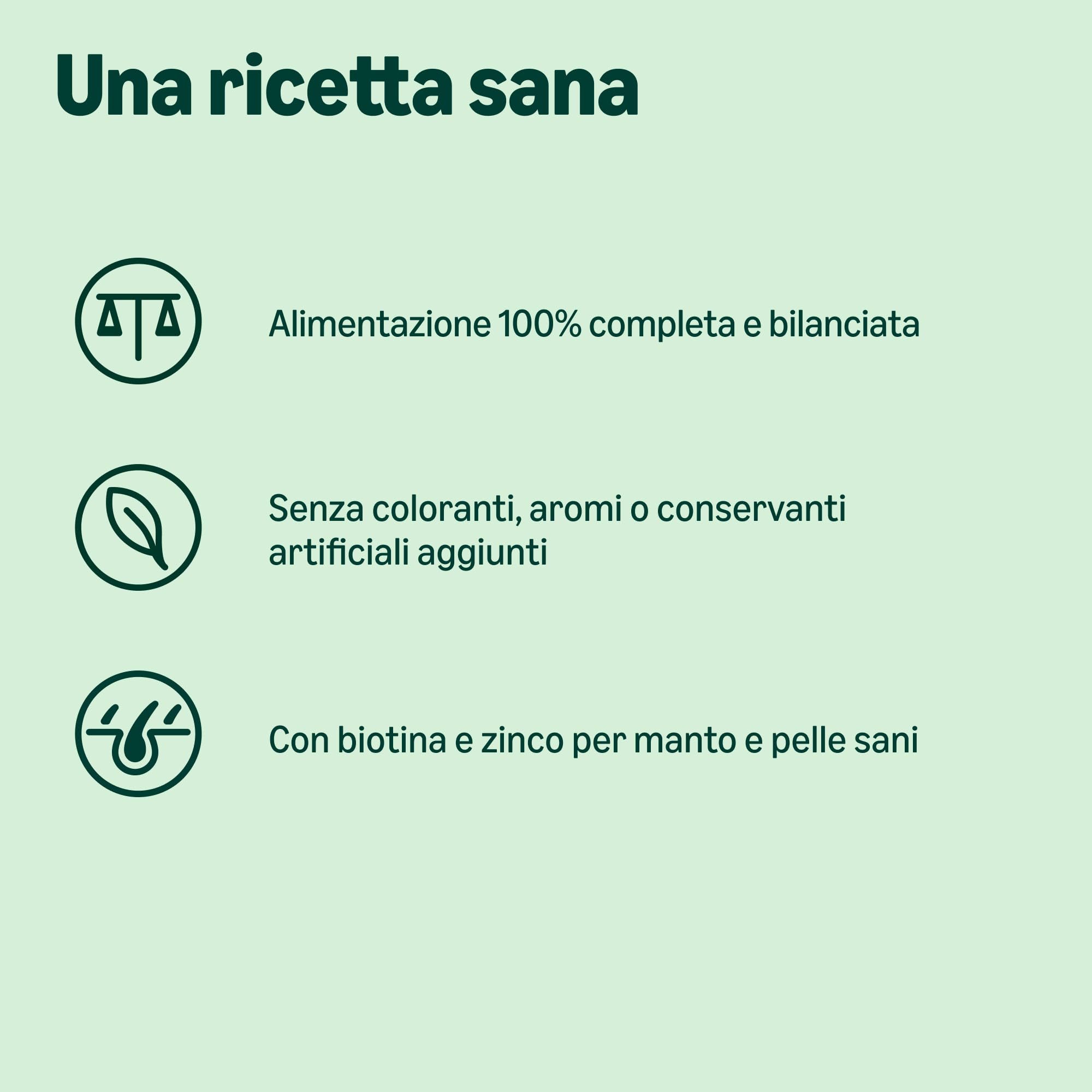 by Amazon Complete Dry Dog Food with Salmon and Rice for Medium and Large Breeds 15kg (Precedentemente un marchio Lifelong, stesso prodotto)