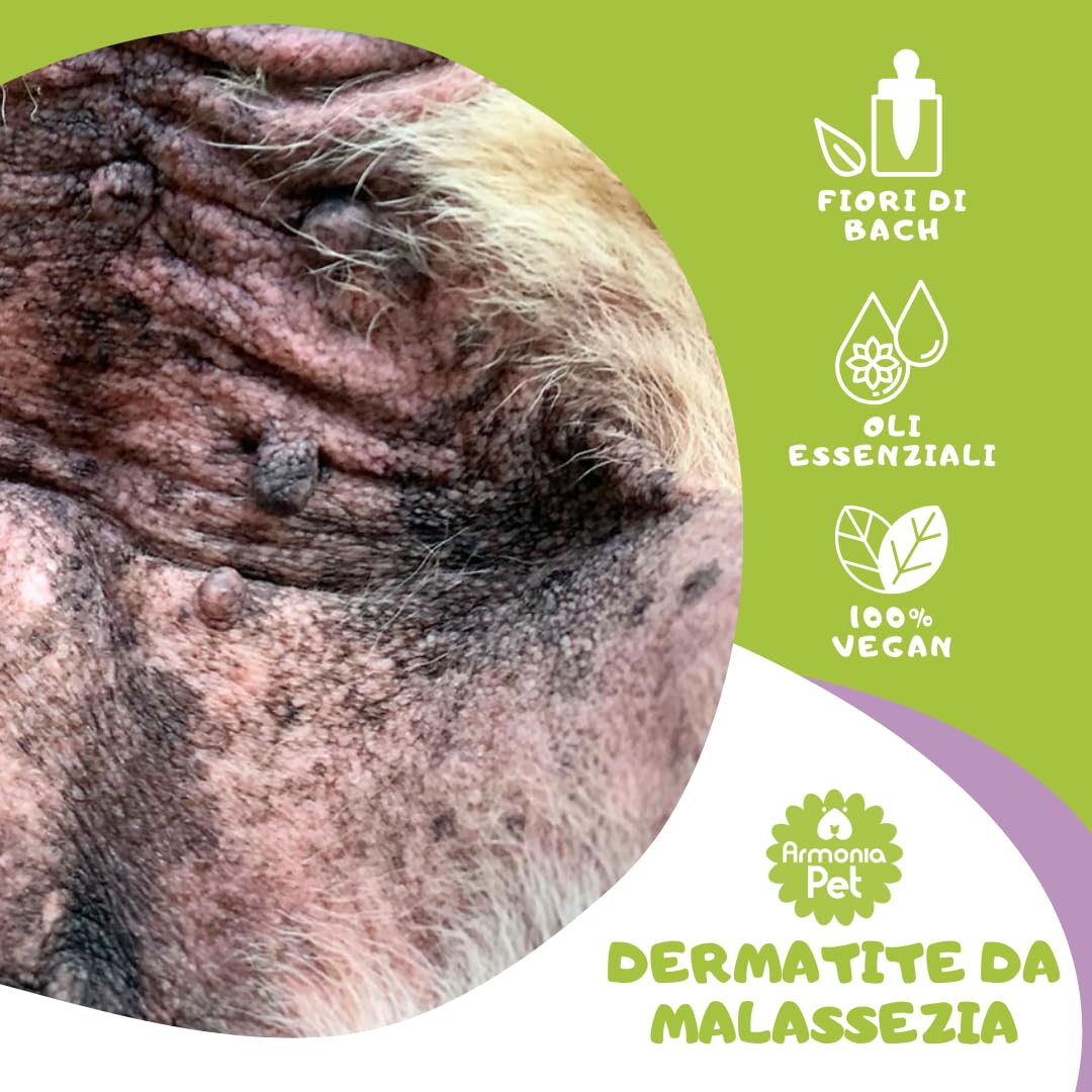Crema LISINA(100ml)-Lozione per la dermatite del Cane-Utile in Caso di malassezia-AntiPrurito per Ferite e Allergie-Formula Naturale Human Grade a Base di Oli Essenziali e Fiori di Bach