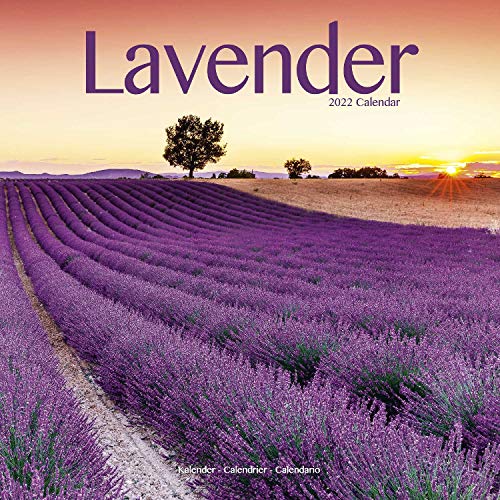 Garden Calendar - Lavender Calendar - Flower Calendar - Calendars 2021 - 2022 Wall Calendars - Garden Calendars - Flower Calendar - Lavendar 16 Month Wall Calendar by Avonside