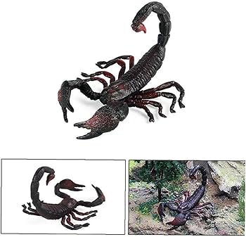 Amazon.co.jp: サソリの模型を模したリアルなプラスチックサソリ道具